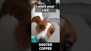 Grrr Girl Jack Russell Terrier Coffee