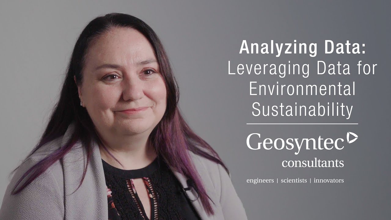 Tree Raine Analyzing Data: Leveraging Data for Environmental Sustainability | Tree ...