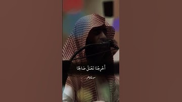 سورة فاطر ، الشيخ محمد اللحيدان. #قران_كريم #حديث_صحيح