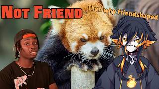 But The Red Panda's Friend Shaped Though... | Casual Geographic Reaction