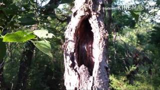Our trip to Cedar Hill State Park  (Ant Hill State Park)