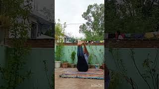yogabhyas | forward bending | balancing posture | yogagirl shortfeed viral ytshorts viralvideo
