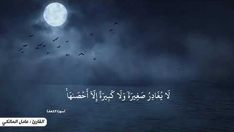 قرآن كريم بصوت القارئ عادل المالكي تلاوة خاشعة و مؤثر ارح قلبك 💚🌿حالة واتس اسلامية /ستوريات انستغرام