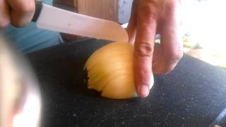 Instructables: Cutting an Onion screenshot 4