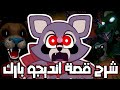 اغرب حقائق و القصة الكاملة ل انديجو بارك الحقيقة الكاملة وراء انهيار مدينة الملاهي 