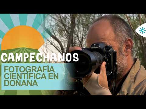 Campechanos | Vacuno retinto en ecológico, fotografía científica, cría de caracoles, pesca del pulpo