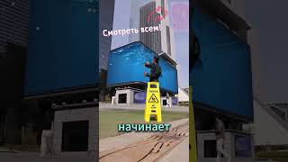 Приколы   Маленькая акула🦈 #youtubeshorts #животные#приколы #монтаж