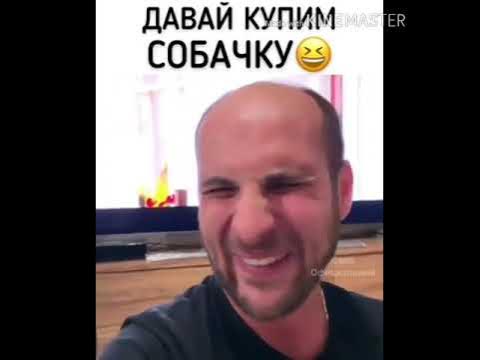 Давай купил собаку. Артемдавай щаведем собачку. Давай заведём собачку.