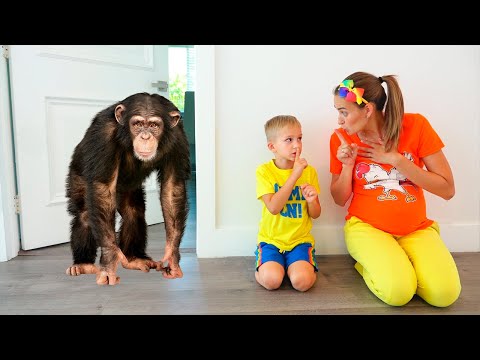 Vlad ve Niki yeni Pet istiyor | çocuklar için komik hikayeler