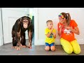 Vlad ve Niki yeni Pet istiyor | çocuklar için komik hikayeler