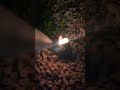 Cuales tengo que reemplazar Luces dólares