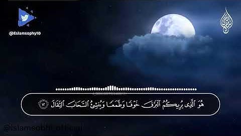 القارئ اسلام صبحي..سورة الرعد..مقاطع انستجرام...🌸🌿