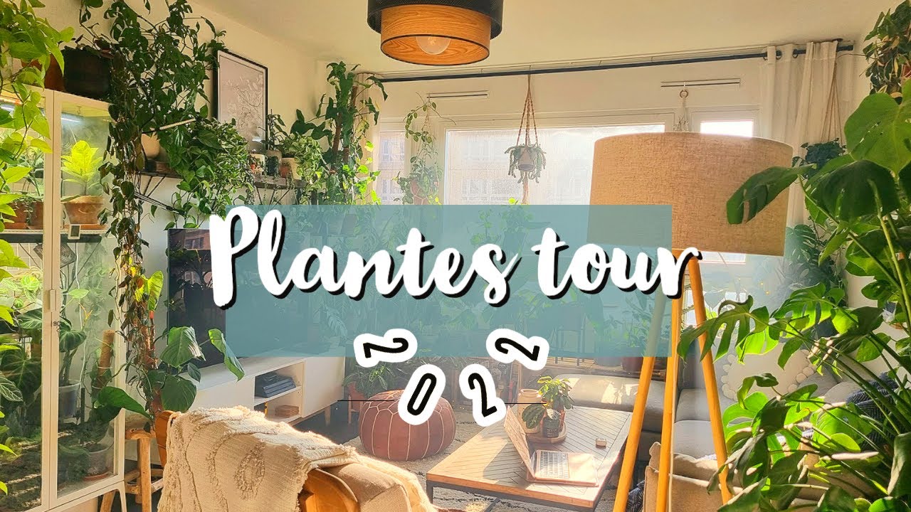 🌿 PLANTES TOUR 2022 🌿 150 plantes dans 55m2 !