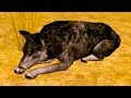 Симулятор ПИТОМЦА #19 Кид стал волком и ищет себе подружку для семьи. Приключение диких животных