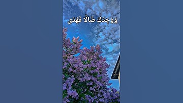 "سورة الضحي" للشيخ /عبدالله كامل
