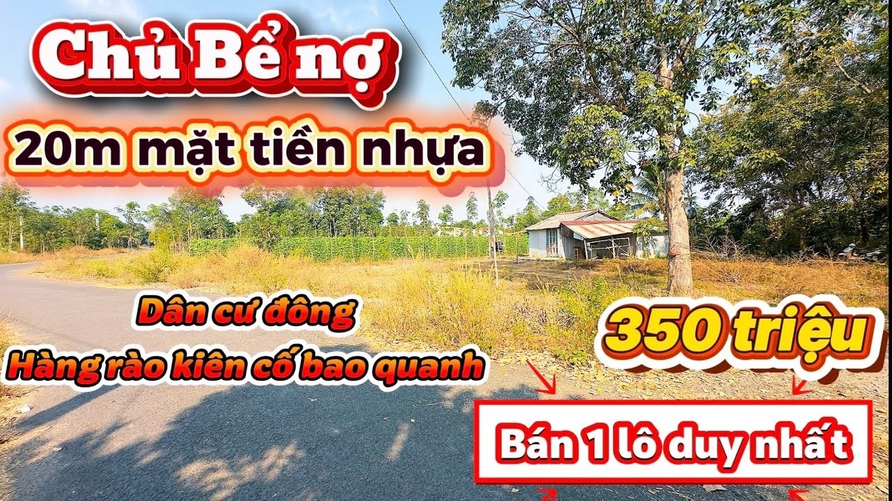 🔥 CHỈ 1 LÔ DUY NHẤT! Đất Vườn 20m Mặt Tiền Nhựa – Gần Trường Chợ 900m, Bán Gấp Trong Tuần!