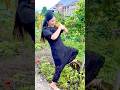 Give me Back 😆😆 #shorts #funny #comedy #shortvideo #fun #viral #video #funnyvideo