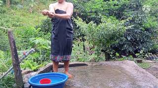 Mu Pauv Zog Ua Teb Lo Da Dej Lawm Nawb