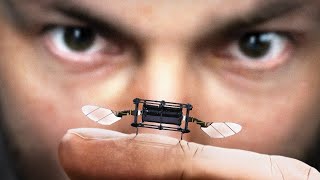 ¿Por Qué MIT Está Haciendo Insectos Robots