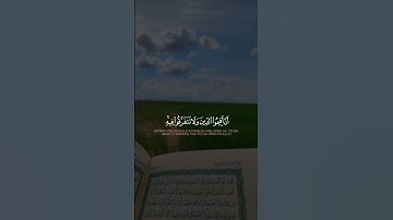 #سورة  الشورى# #تلاوة هادئة وصوت يبعث الطمأنينة# للقارئ علي التركماني🩵🤍