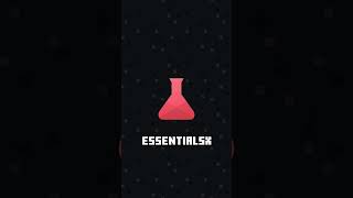 Plugin-Vorstellung: EssentialsX