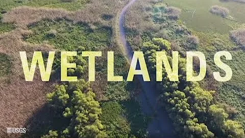 What makes a wetland a wetland? (Part 1)