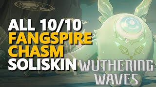 All Fangspire Chasm Soliskin Wuthering Waves