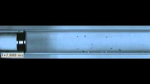 Video corresponding to figure 6