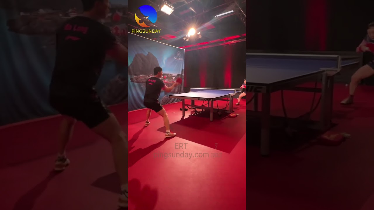 Ma Long Chen Meng at WaldnerCup