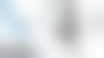 Warframe Profile - Titania