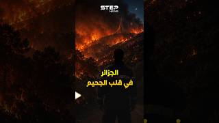 #الجزائر تحترق وسيناريو 2021 يعود.. لماذا تحولت الغابات إلى مخزن بارود مفتوح؟