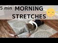 5 Minutes Gentle Morning Stretching Routines in Bed | Feldenkrais Style