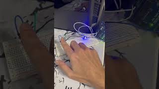 IMG 0712