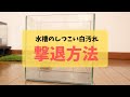 水槽の白い汚れをとるのに最強のアイテムはこれだ！今年の汚れ、今年のうちに！！