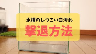 水槽の白い汚れをとるのに最強のアイテムはこれだ！今年の汚れ、今年のうちに！！