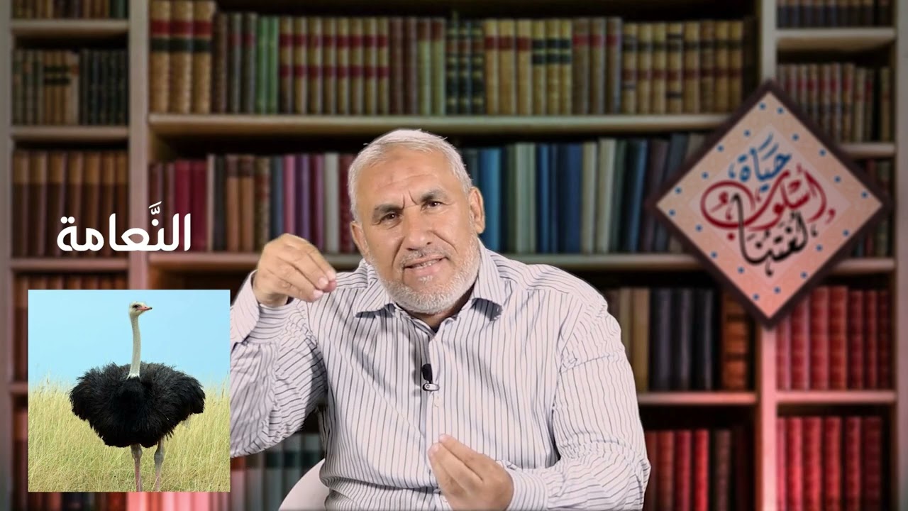 مُعْجمُ لِسانِ العرب 2 كيفية البحث في معجم لسان العرب + قصيدة رائعة لأبي فراس الحمداني