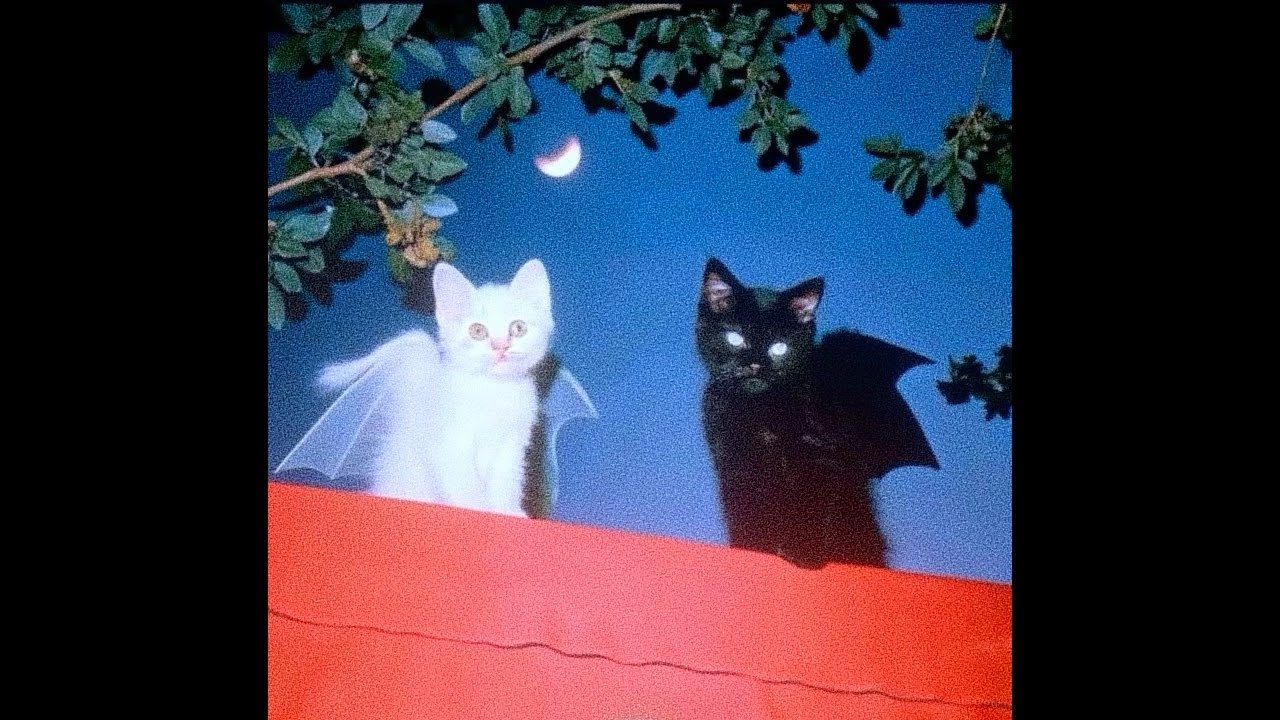 STEVE LACY X DOMINIC FIKE TYPE BEAT 