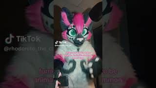erm #furry #anthrocon #fursuit #anthrocon2024 #cat #fursona