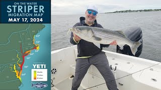 Striper Migration Report | May 17, 2024 by On The Water Media 9,319 views 11 days ago 34 minutes