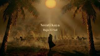 Necati Kaya - Bajo El Sol