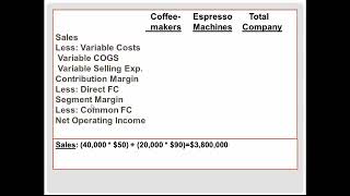 Famous CH 07 Problem Segment Reporting Net Worth