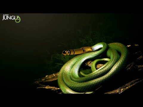 sound---braam-horn-|-audiojungle-download