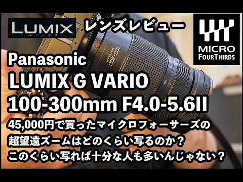 レンズレビュー】LUMIX G VARIO 100-300mm F4.0-5.6 II POWER O.I.S.