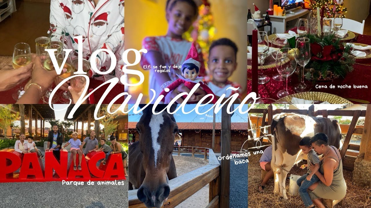 Vlog navideños de una familia dominicana/ fuimos a un parque de animales