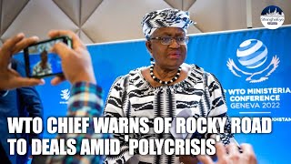 WTO head warns of ‘bumpy road’ over deals amid poly-crisis