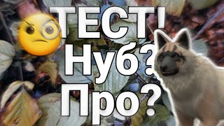 ТЕСТ! ТЫ НУБ ИЛИ ПРО? || WildCraft