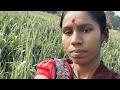 Viral vlong My new year 2026