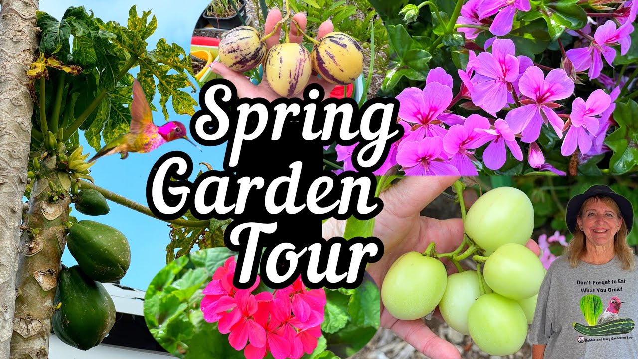 Birds  Nature Garden Tour Growing TIPS for SUCCESS GroundContainer Gardening Vegetables  Flowers