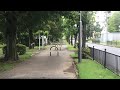 本日のメタセコイヤ通り。8/17