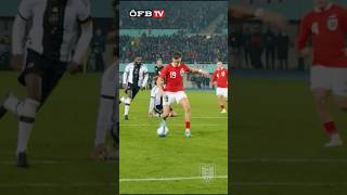 Christoph Baumgartner -Tor des Jahres 2023 #football  #goal